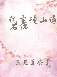 我家后山通仙界石锦