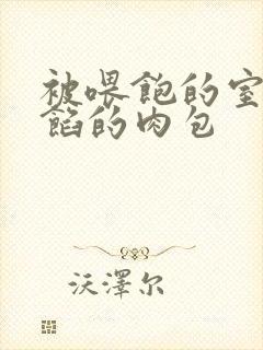 被喂饱的室友爆馅的肉包