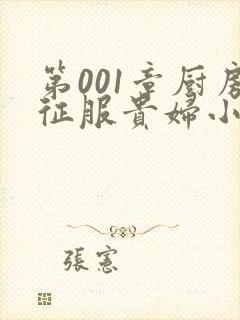第001章厨房征服贵妇小说