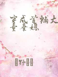 穿成首辅大人的童养媳