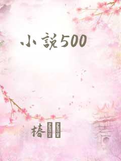 小说500