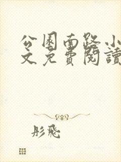 公园南路小说全文免费阅读