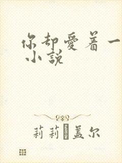 你却爱着一个他 小说