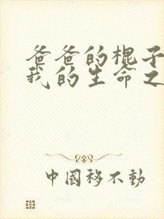 爸爸的棍子顶着我的生命之门