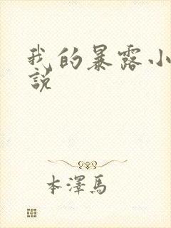 我的暴露小说小说