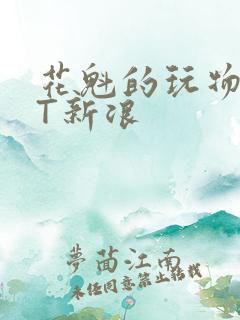 花魁的玩物TXT新浪