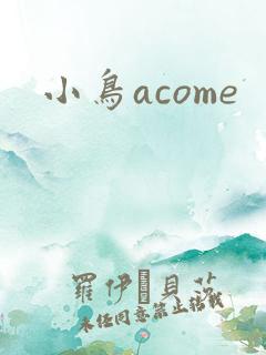 小鸟acome