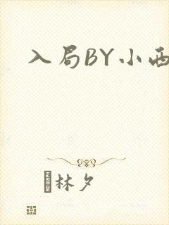 入局BY小西