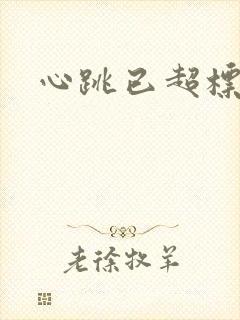 心跳已超标小说