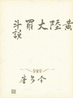 斗罗大陆黄色小说