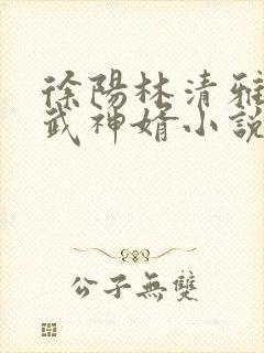 徐阳林清雅绝世武神婿小说