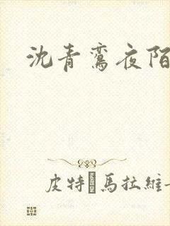 沈青鸾夜陌凌