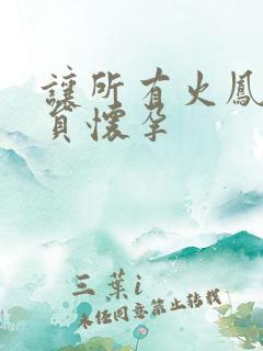 让所有火凤凰队员怀孕