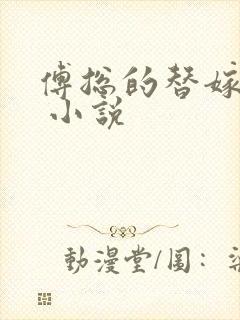 傅总的替嫁娇妻 小说