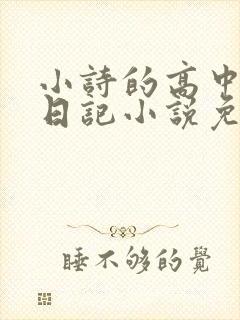 小诗的高中成长日记小说免费阅读