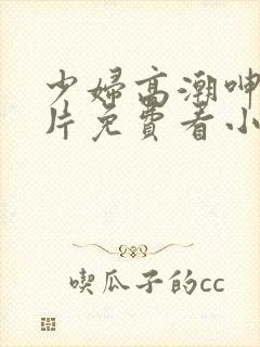 少妇高潮呻吟A片免费看小说