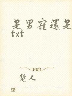 是男宠还是禁脔txt