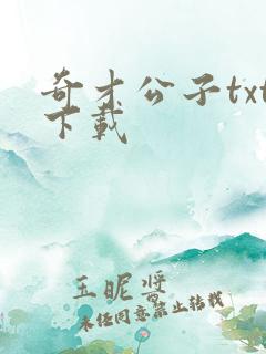 奇才公子txt下载