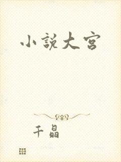 小说大宫