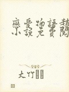 恋爱物语赵菲菲小说免费阅读全文