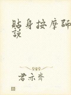 贴身按摩师 小说