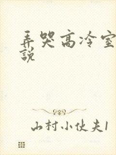弄哭高冷室友小说