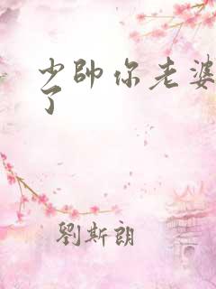 少帅你老婆又跑了