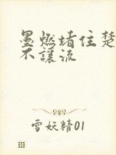 墨燃堵住楚晚宁不让流