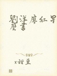 刘洋廖红星是什么书