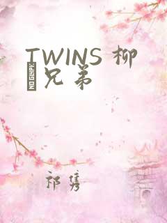 TWINS 柳澤兄弟