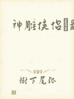 神雕侠侣婬乱版