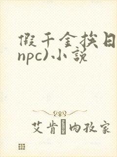 假千金挨日记(npc)小说