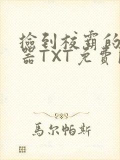 捡到校霸的遥控器TXT免费阅读