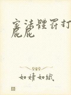 家法体罚打丫鬟屁屁