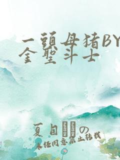 一头母猪BY黄金圣斗士