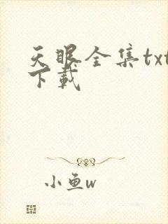 天眼全集txt下载