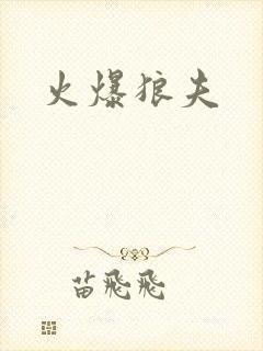 火爆狼夫