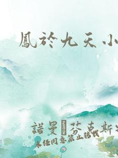 凤于九天小说