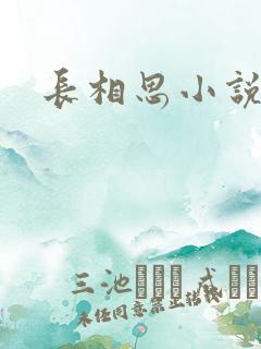 长相思小说原著