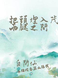 把头埋入茂密的两腿之间