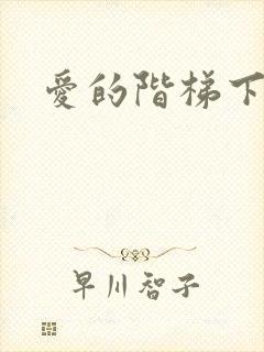 爱的阶梯下载