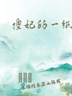 傻妃的一纸休书