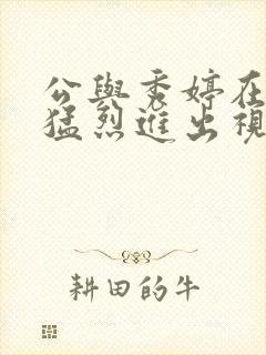 公与秀婷在厨房猛烈进出视频