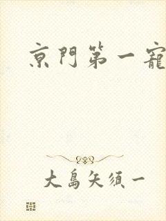 京门第一宠