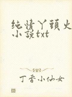 纯情丫头火辣辣小说txt