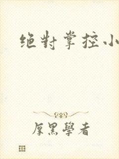 绝对掌控小说