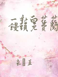 一对白花花的大馒头免费阅读