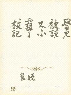 校霸又被学神标记了小说免费阅读