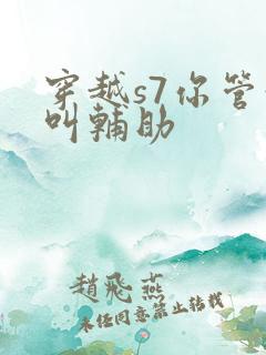 穿越s7你管这叫辅助