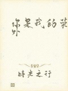 你是我的荣耀番外